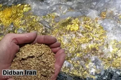 ذخایر طلا به زودی افزایش پیدا می کند/دانشگاه گوتینگن آلمان : ذخایر عظیم طلا از زیر زمین بهسمت لایههای بالایی درحال نشت هستند