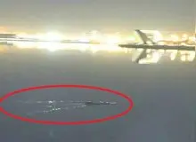 آتش‌نشانی با اسکنر به جان دریاچه چیتگر افتاد/ خبری از تمساح نیست!
