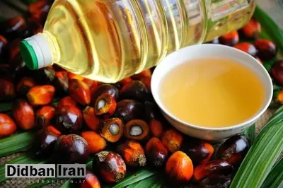 شروط وزارت خانه برای واردکنندگان روغن پالم+سند