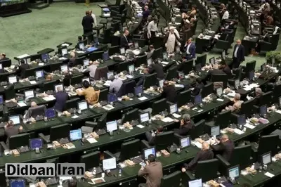 سخنگوی هیأت رئیسه مجلس: هیچ نهاد قانونگذاری امکان ابطال و رد مصوبات مجمع را ندارد / بنای طراحان دو فوریت CFT تعلیق مصوبه است