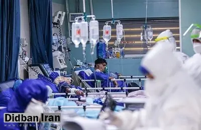افزایش آمار مبتلایان به کرونا در بوشهر/ ابتلای ۷۹ مورد جدید