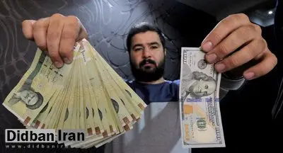 واردکنندگان خودرو می‌توانند چای و چای‌ساز وارد کنند؟!
