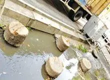 مترو و گودبرداری‌ها مقصران اصلی خشک شدن  درختان ولیعصر