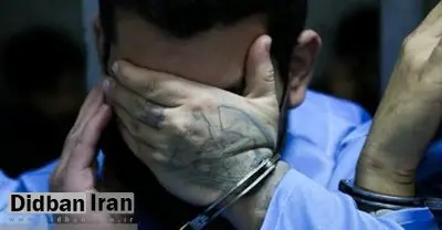 جزییات دستگیری سارق زیورآلات و ارزهای خارجی