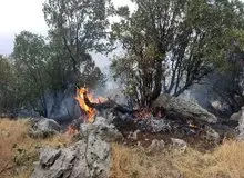 ۳۷۳ هکتار جنگل و مرتع خراسان شمالی در آتش سوخت