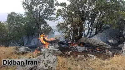 ۳۷۳ هکتار جنگل و مرتع خراسان شمالی در آتش سوخت