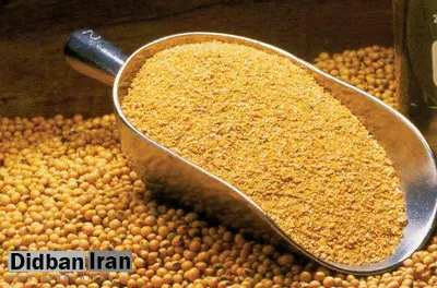 کاهش شدید ۷۸ درصدی واردات کنجاله سویا/ کمبود خوراک دام و طیور قیمت ها را بالا می برد
