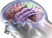 تسلط بر دو زبان و تاخیر در بروز زوال عقل
