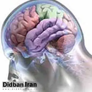 تسلط بر دو زبان و تاخیر در بروز زوال عقل