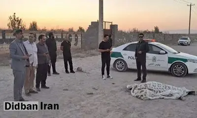قتل مسلحانه فقط به خاطر چیدن چند دانه آلو