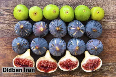 ۹ خاصیت بی نظیر انجیر برای سلامتی از خواص ضدسرطانی تا خواص ضدباکتری