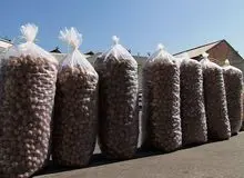 کشف ۷۰۰ کیلو گردو قاچاق در این شهر