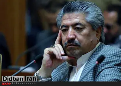 انصاری: اگر شبکه‌های اجتماعی نبود خیلی از مسائل علنی نمی‌شد