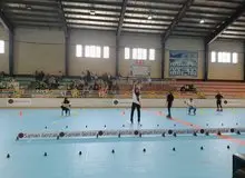 سرپرست فدراسیون اسکیت معرفی شد