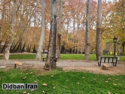 شکایت شهرداری تهران از کاخ سعدآباد بابت قطع ۱۵ درخت/ پیگیری برای اجرای حکم کمیسیون ماده ۷
