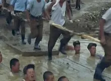 کره شمالی مردم خود را به خوردن گوشت سگ ترغیب می کند