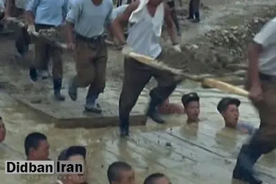 کره شمالی مردم خود را به خوردن گوشت سگ ترغیب می کند