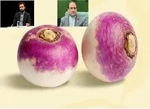 ارگان شهرداری تهران: چرا با نماینده ای که ارزشی ها را شلغم خوانده برخورد نمی شود؟