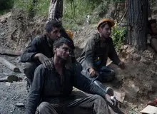 کارفرما مقصر است