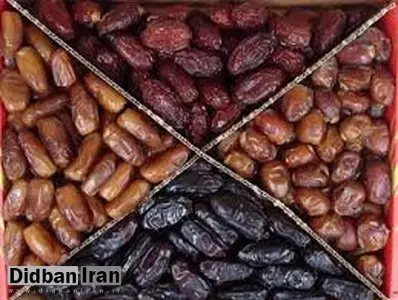 صادرات خرما به ۷۸ کشور جهان/ قیمت گران‌ترین خرمای صادراتی ایرانی