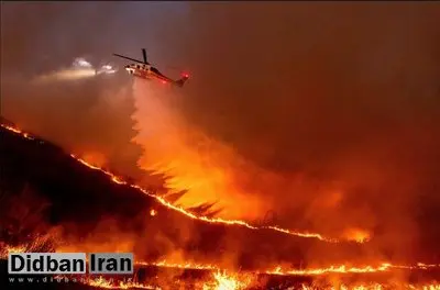 گاردین: آتش‌سوزی‌های جنگلی غیرقابل کنترل می‌شوند