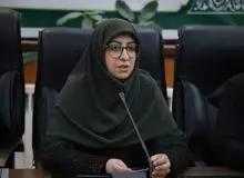 انصاری: تقویت گفتمان محیط‌زیست در سطح حاکمیت، راهبرد ما برای سال آینده است