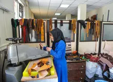 معاون اشتغال و خودکفایی کمیته امداد: پرداخت تسهیلات اشتغال‌زایی به تمامی افراد خانوارهای تحت حمایت کمیته امداد