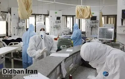 آخرین وضعیت شیوع برخی بیماریها در کشور؛ از کشف ۸۲۶۷ مورد سالک در کشور تا تشخیص ۷۹ مورد تب خونریزی دهنده کریمه کنگو و ۸۱ هزار مورد عقرب گزیدگی و ۴ مورد مرگ