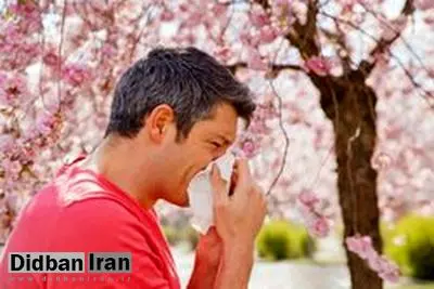 دمنوش‌هایی موثر  برای مقابله با حساسیت‌های بهاری