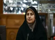 نماینده مجلس: تعداد زیادی رای با مشخصات کارت ملی افراد به صندوق ریخته شده، حال آنکه صاحب کارت ملی خبر ندارد