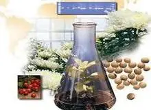  ۹ علامت ازدیاد سموم در بدن