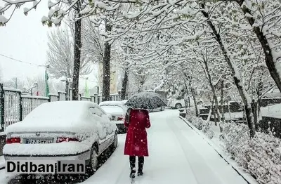 هشدار نارنجی هواشناسی درباره بارش برف در برخی مناطق ایران