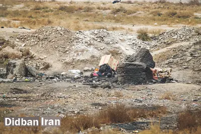 گورخواب های شهریار بازگشتند