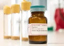 داروی ضدپیری جدید طول عمر موش‌ها را ۳۵ درصد افزایش داد