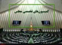  کمیسیون‌های غیراقتصادی مجلس یازدهم چرا بی مشتری است؟