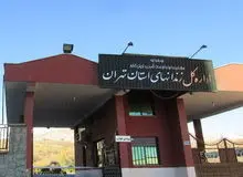 تشکیل کمیته بررسی فوت امیرحسین حاتمی/ اداره کل زندان‌ها: در صورت احراز خطا، با عوامل بدون اغماض برخورد خواهد شد