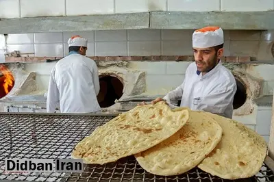 واکنش نماینده مجلس به توجیهات عجیب حامیان افزایش قیمت نان/ زارع: اینکه ما ۳۰ درصد ضایعات نان داریم به دلیل عدم کیفیت آرد مصرفی است