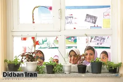 فقط «پایین‌جام» را نگاه کنید!