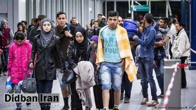 آلمان اولین گروه پناهجویان را بازگرداند