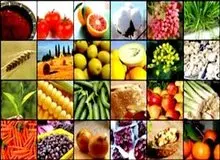 تراز تجاری کشاورزی ۱۱۸ درصد منفی‌تر از پارسال شد