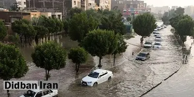 خوزستان رکورد دار بارش‌های شبانه روزگذشته کشور/ ارتفاع بارش در «شوش» به ۵۹ میلیمتر رسید