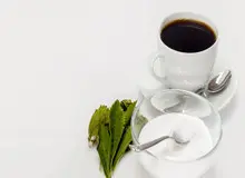 هفت  چیز که درباره استویا(قند بدون شکر )  نمی دانید