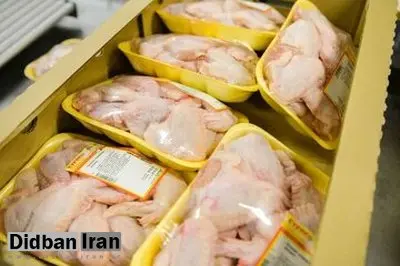 افزایش ۱۱۲ تا ۱۶۵ درصدی قیمت مرغ و افزایش ۱۶۵ درصدی قیمت گوشت بستهبندی