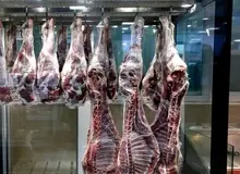 رییس شورای تامین کنندگان دام: قیمت گوشت قرمز در ترکیه از ایران ارزان‌تر است