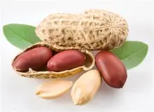 جلوگیری از حمله قلبی با مصرف بادام زمینی!