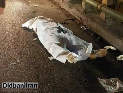 پرتاب شدن راننده ۲۰۶ به بیرون از خودرو در بزرگراه بابایی