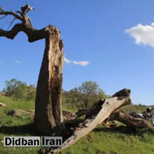 درخواست ثبت «روز ملّی زاگرس» در تقویم رسمی ایران