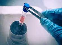 ورود تیم نظارتی وزارت بهداشت به ماجرای گم شدن جنین‌های فریز شده در بیمارستان آبان