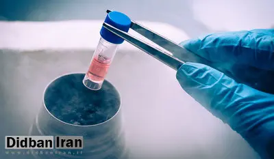 ورود تیم نظارتی وزارت بهداشت به ماجرای گم شدن جنینهای فریز شده در بیمارستان آبان
