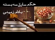 واکنش یک حقوقدان به اظهارات سخنگوی دستگاه قضا درباره سارق سه بسته بادام زمینی